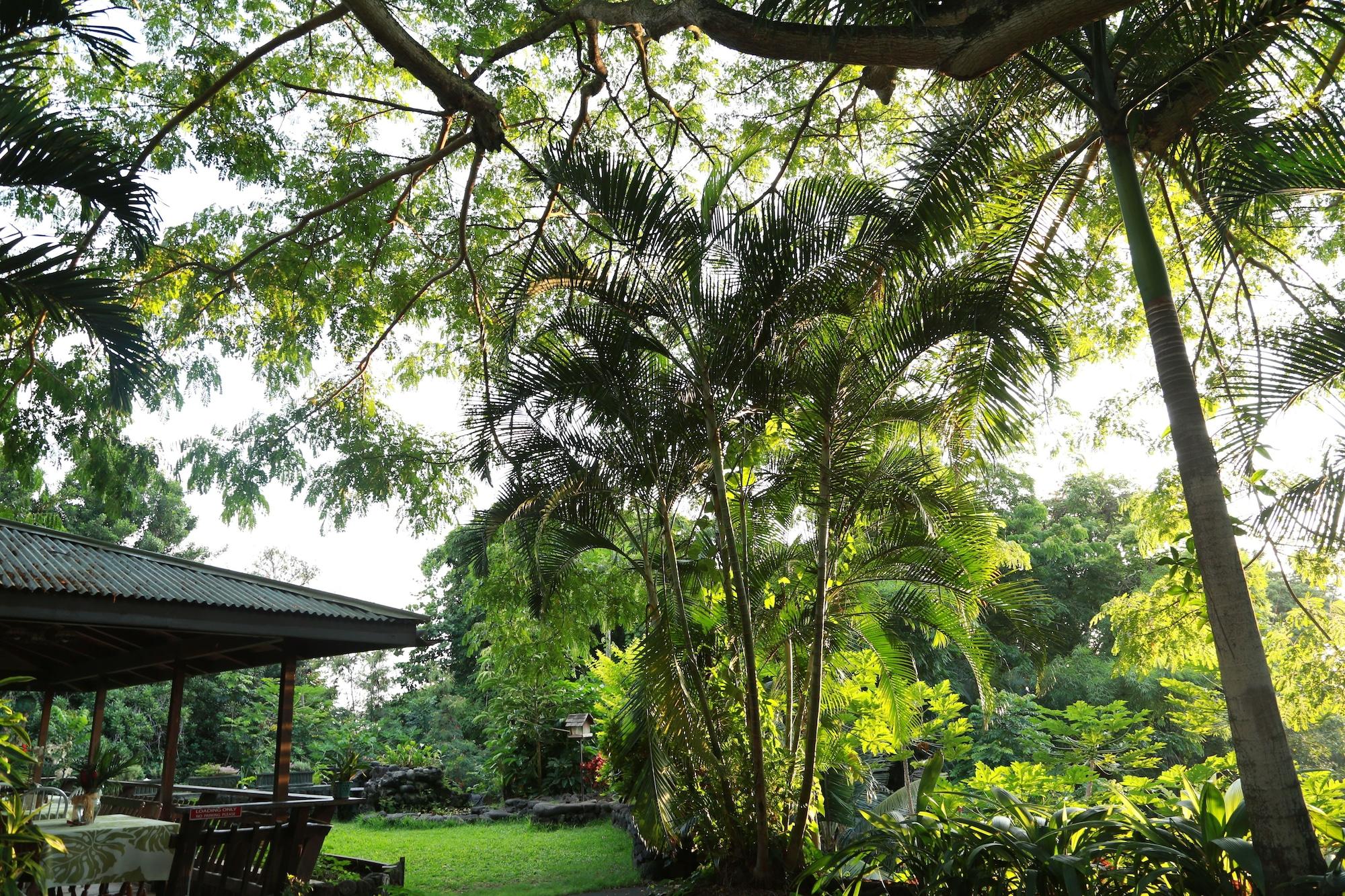 Hale Maluhia Country Inn Kailua-Kona Bagian luar foto